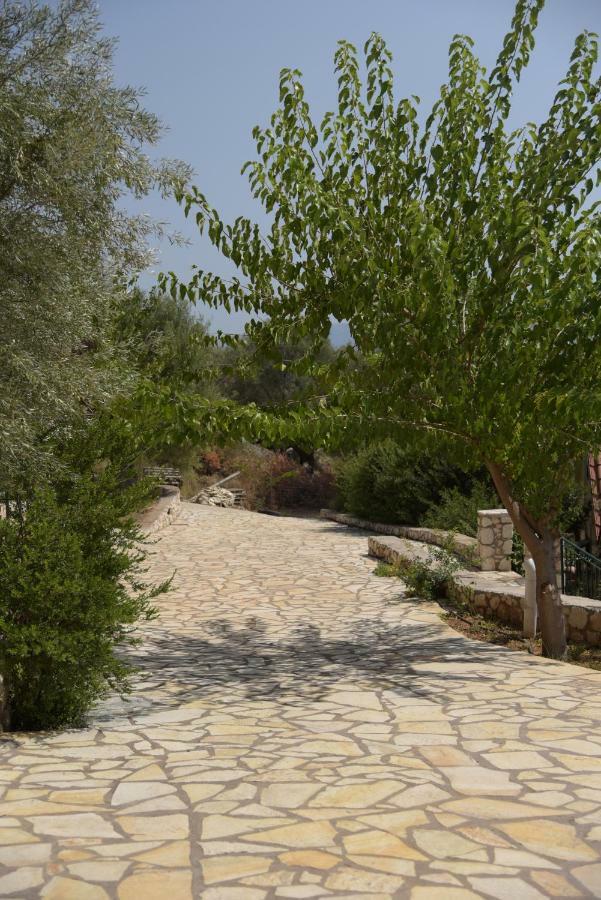 Elia Village Katomerion Extérieur photo